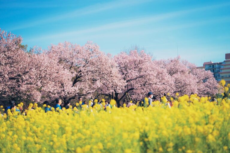 Wedding Photography services singapore